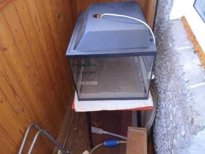 Продам аквариум 50 литров с подсветкой