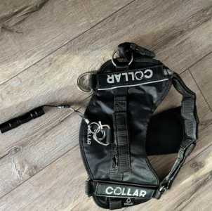 Шлея для собак