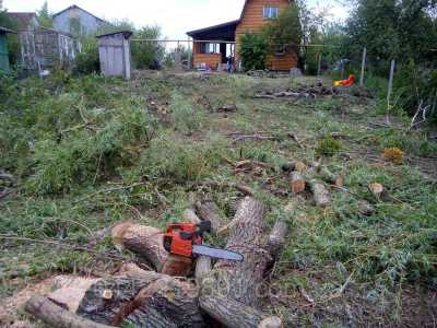 Расчистка земельных участков
