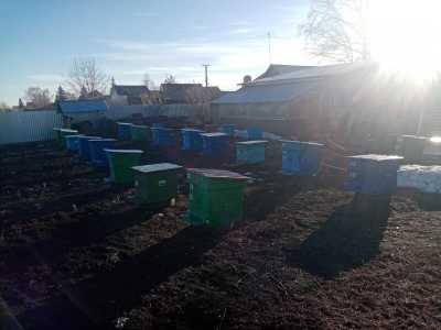 Пасека