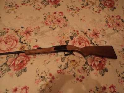охотничий карабин