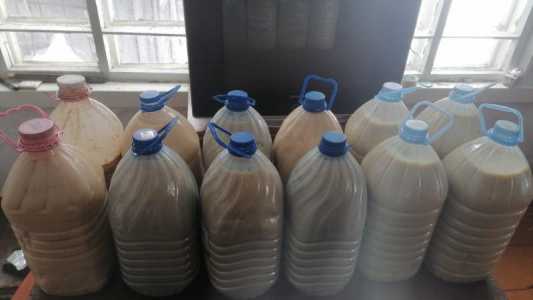 Жир медвежий