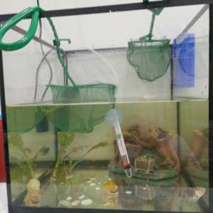 Оквариум 30 литров куб