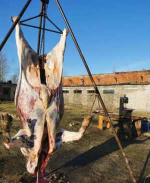 Обвальщик мяса. Услуги по забою и разделке мяса