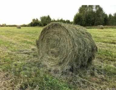 Сено в рулонах