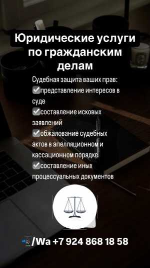 Судебная защита