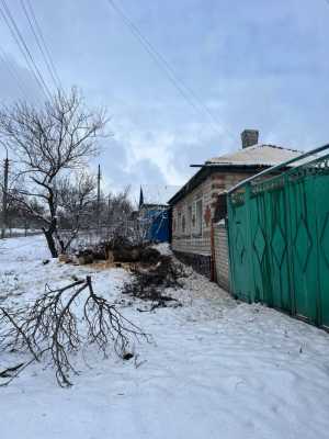 Спил деревьев в луганске и области ЛНР