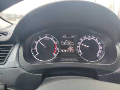 Skoda Rapid, 2018