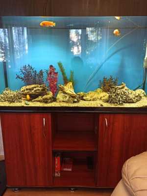 Продам аквариум