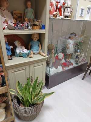 Музей квартира Игрушки