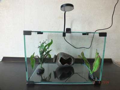 Аквариум для 2-3 рыбок