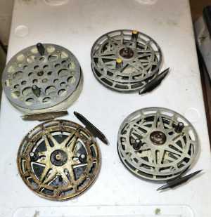 Невская Катушка