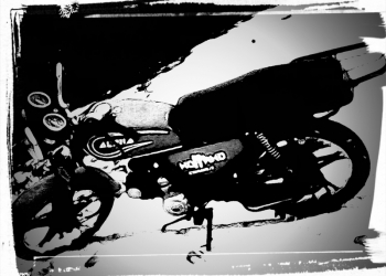 мопед альфа 110 кубов