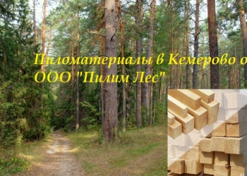 Пиломатериал от ООО "Пилим Лес"