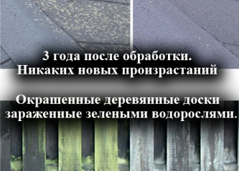 Удалить мох с крыши