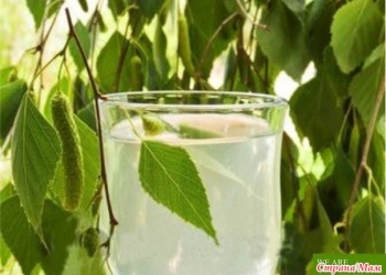 Сок берёзовый