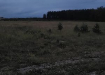 Продам земельные паи!