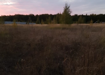 Участок на берегу Волги