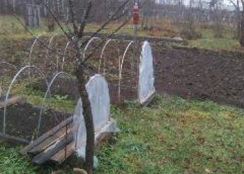 Продам дом с земельным участком