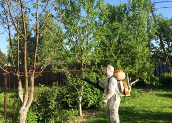 Озеленение и благоустройство.