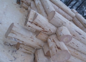 Продаю срубы бань и домов из зимнего леса!