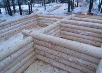 Продаю срубы бань и домов из зимнего леса!