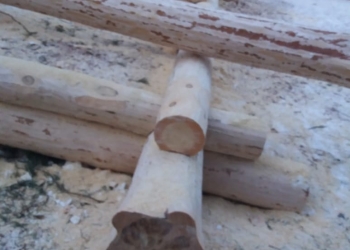 Продаю срубы бань и домов из зимнего леса!
