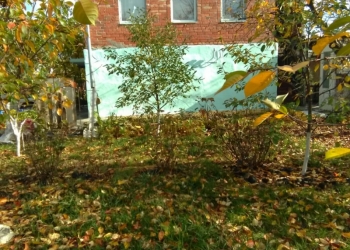 продаю дачу