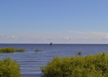 Продаю участок в живописном районе Новгородской области