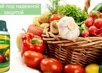Хит года! Увеличение урожая на60%!