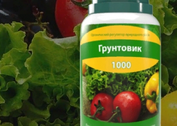 Хит года! Увеличение урожая на60%!