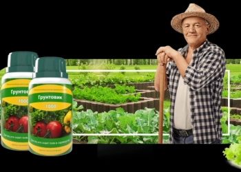 Хит года! Увеличение урожая на60%!