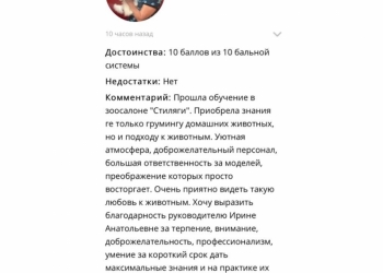 Курсы груминга, Обучение грумингу