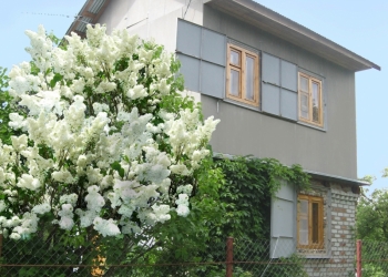 Продам дачу с участком