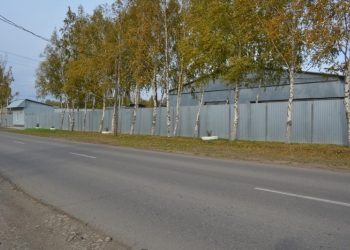 Сдам в аренду