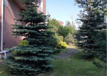 Продаю дом