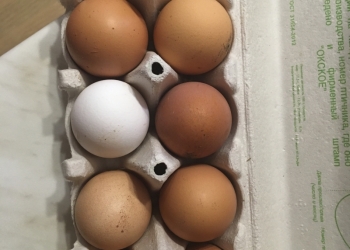 Яйца деревенские