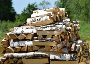 Дрова берёза