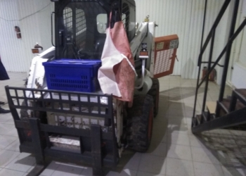 Погрузчик Bobcat WS50