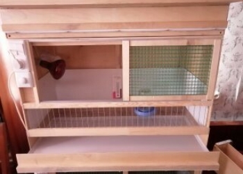 Брудер для циплят