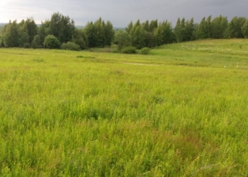 Продаю участок 10 соток в д. Подмошье Дмитровского района МО.