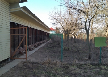 Деревенский дом с участком и фундаментальными строениями.