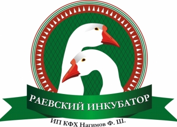 Гусята Цыплята Раевский Инкубатор