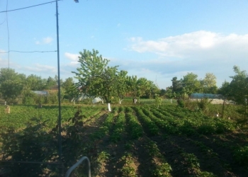 Дом 54 м2