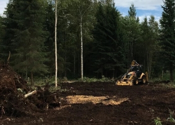 Выкорчевывание ,удаление пней.