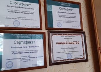 Прикладная кинезиология