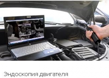 ���� ������� GOMOZOV