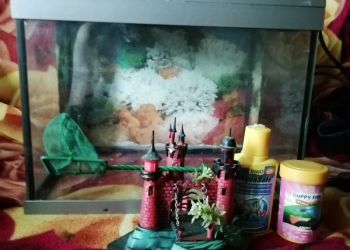 Аквариум TERA