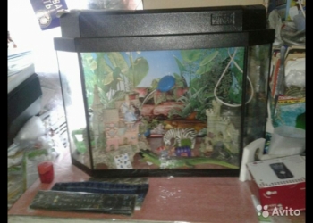 Аквариум 40литров с украшениями
