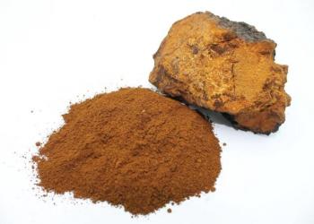 Чага(кусковая)